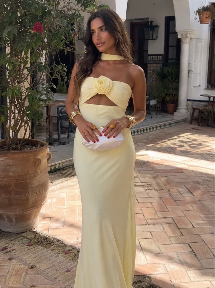 Odette | Robe Maxi Halter Corsage Rose